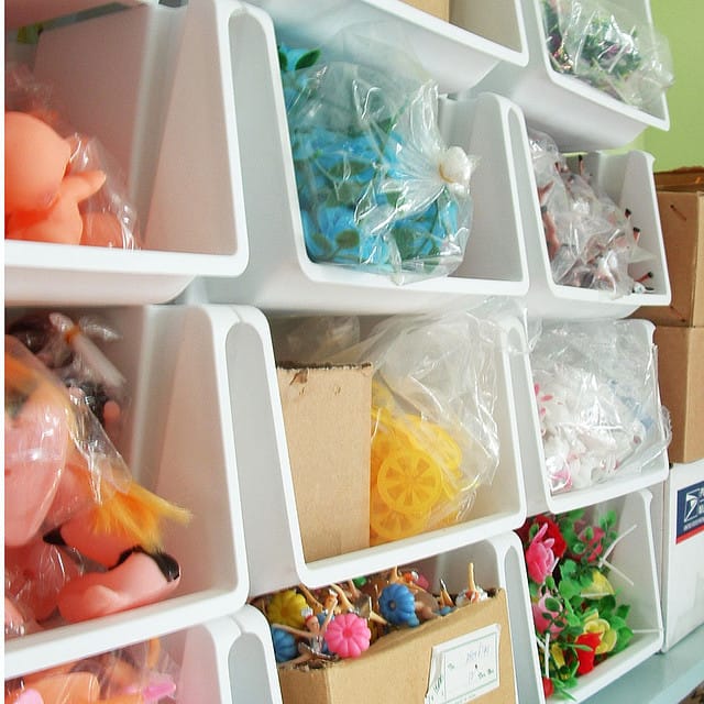 Professional Organizer