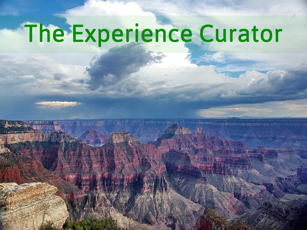 The Experience Curator: First Edition (Complete with Myth-Busting, High-Fives, and Butt-Dialing)